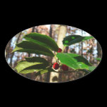 Holly Leaves Sticker