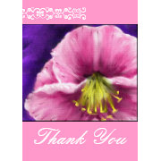holly lily Thank You card