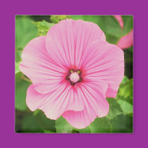 Holly magnets by ggbythebay Holly magnets