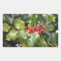 Holly Photo Sticker
