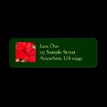 Holly Point Poinsettia Return Address Label