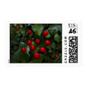 Holly Postage postage