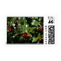 Holly postage