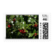 Holly postage