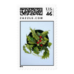 holly postage