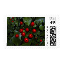 holly, christmas, nature stamps, Selo postal com design gráfico personalizado