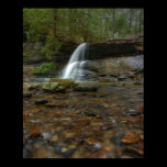 Holly River State Park posters