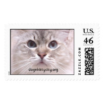 Holly Stamp by Humane_Society Holly Stamp