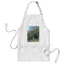 holly tree in New Forest Aprons
