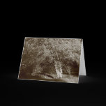 Holly Tree - Sepia cards