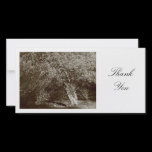 Holly Tree - Sepia - Thank You photo cards