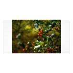 Holly with berries photo cards