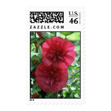 Hollyhock, (Alcea Rosea) flowers Stamps