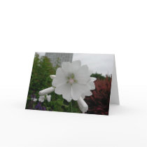 Hollyhock greeting card