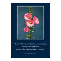 hollyhock varieties central tx