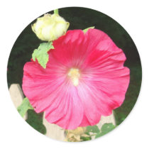 Hollyhock Seals stickers