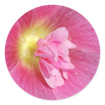 Hollyhock Stickers by mlane53 Hollyhock Stickers