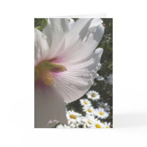 Hollyhocks and Daisies Greeting Card