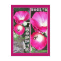 HOLLYS BOOKMARKS postcards