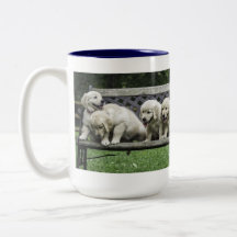 Holly's Half Dozen bench mug