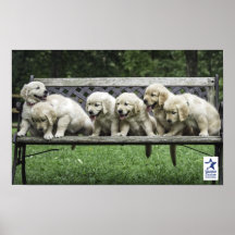 Holly's Half Dozen bench poster