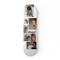 HollySchnoz_Rex, IMG_4305, IMG_8676, IMG_2935, ... Skate Board
