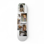 HollySchnoz_Rex, IMG_4305, IMG_8676, IMG_2935, ... Skate Board