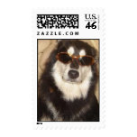 Hollywood Bear Stamp