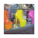Hollywood Blvd Shoes magnets by DonnaGrayson_Photos Hollywood Blvd Shoes magnets