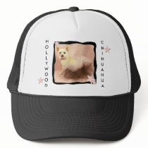 Hollywood Chihuahua Hat