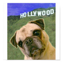 Hollywood PUG posters by pugdogproductions Hollywood PUG posters