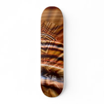 HollyWood skateboards