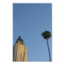 Hollywood Sky