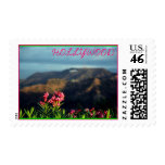 HOLLYWOOD USA postage