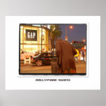 Hollywoods Nights Poster
