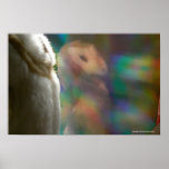 Holo-Hootin' Annies Posters