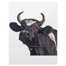 Holstein Cattle Gift letterhead