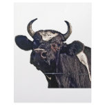 Holstein Cattle Gift Letterhead Design