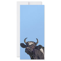 Holstein Cattle Gift Customized Rack Card