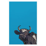 Holstein Cattle Gift Personalized Stationery