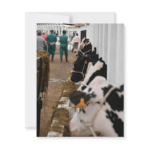 Holstein cattle show invites