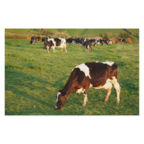 Holstein cattle stationery