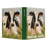 Holstein cow binders