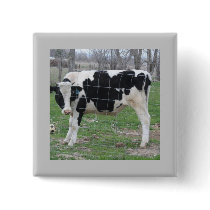 Holstein Cow buttons