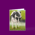 Holstein Cow Card