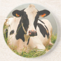 Holstein cow drink coaster