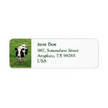 Holstein cow custom return address labels