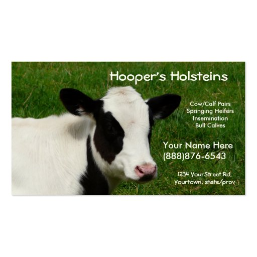 Holstein Cow Dairy Cattle Ranch Business Card (front side)