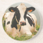Holstein cow drink coaster