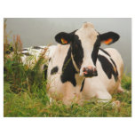 Holstein cow personalized flyer